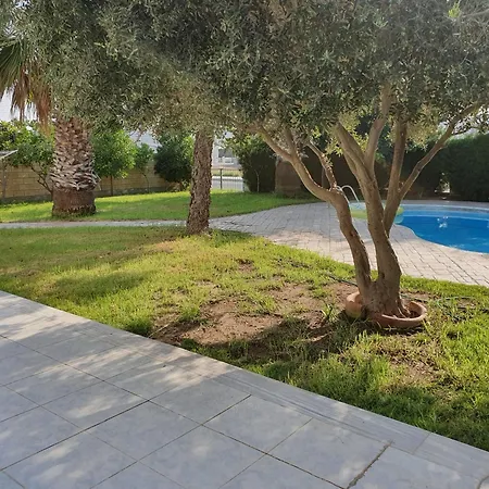 De Angelo فيلة *